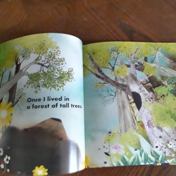 Children's Hardcover Book - "Once I Was a Bear" by Irene Luxbacher - Picture 4 of 5